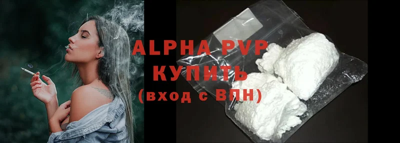 A PVP СК Сыктывкар