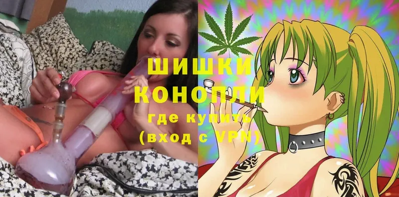 гидра ТОР  купить наркоту  Сыктывкар  Шишки марихуана White Widow 